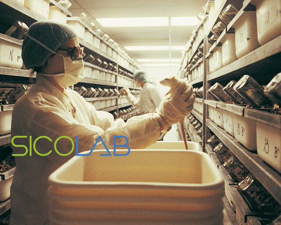 无菌级动物实验室建设意义SICOLAB