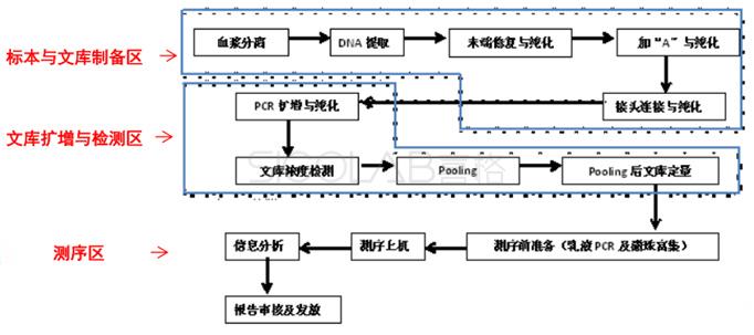 产前筛查与产前诊断流程.jpg