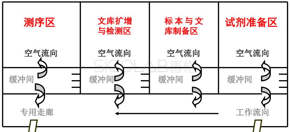 产前筛查与诊断设计方案SICOLAB