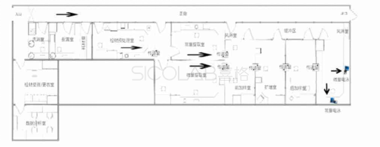 DNA实验室设计平面图